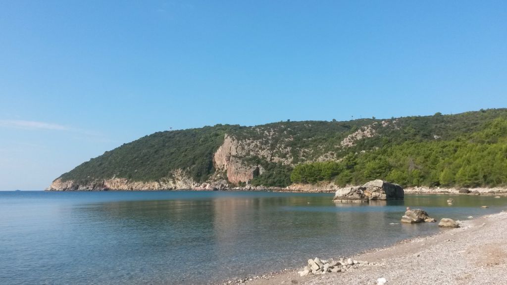 Sutomore